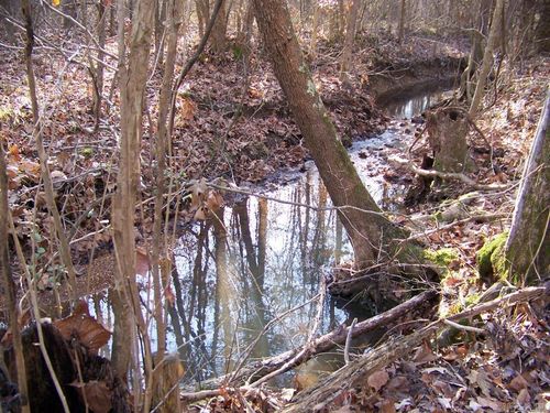 538 Fowler Rd, Maynard, AR, 72444-9700 | Card Image