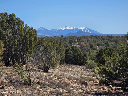 8299 W Clear Fork Loop, Williams, AZ, 86046 | Card Image