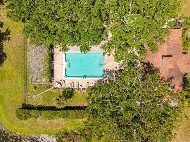 APT-112 - 2690 Coral Landings Blvd, Condo with 1 bedrooms, 1 bathrooms and null parking in PALM HARBOR FL | Image 48