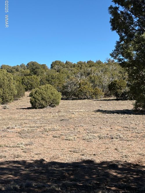 SW N8716, Concho, AZ, 85924 | Card Image