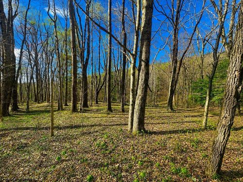 TBD Bobolink Dr, Terra Alta, WV, 26764 | Card Image