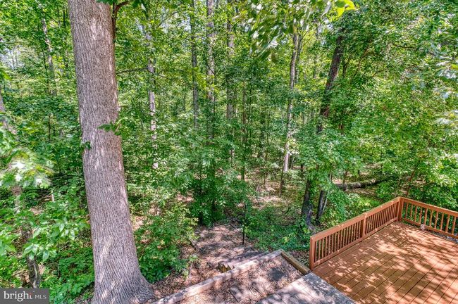 4195 Old Toad Rd, House other with 4 bedrooms, 4 bathrooms and null parking in BEALETON VA | Image 37