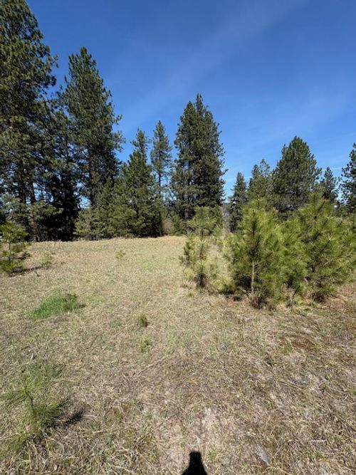 3 River Run Loop, St Regis, MT, 59866 | Card Image