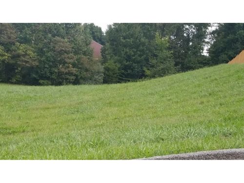 4 Clearwater Drive, Unicoi, TN, 37692 | Card Image