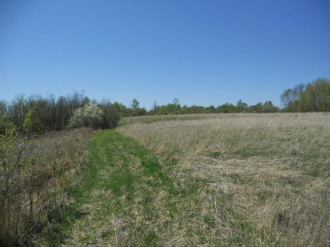 39769 Kestrel Ave, House other with 1 bedrooms, 1 bathrooms and null parking in Tamarack MN | Image 19