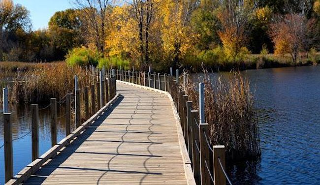 Wood Lake Pic.jpg | Image 22
