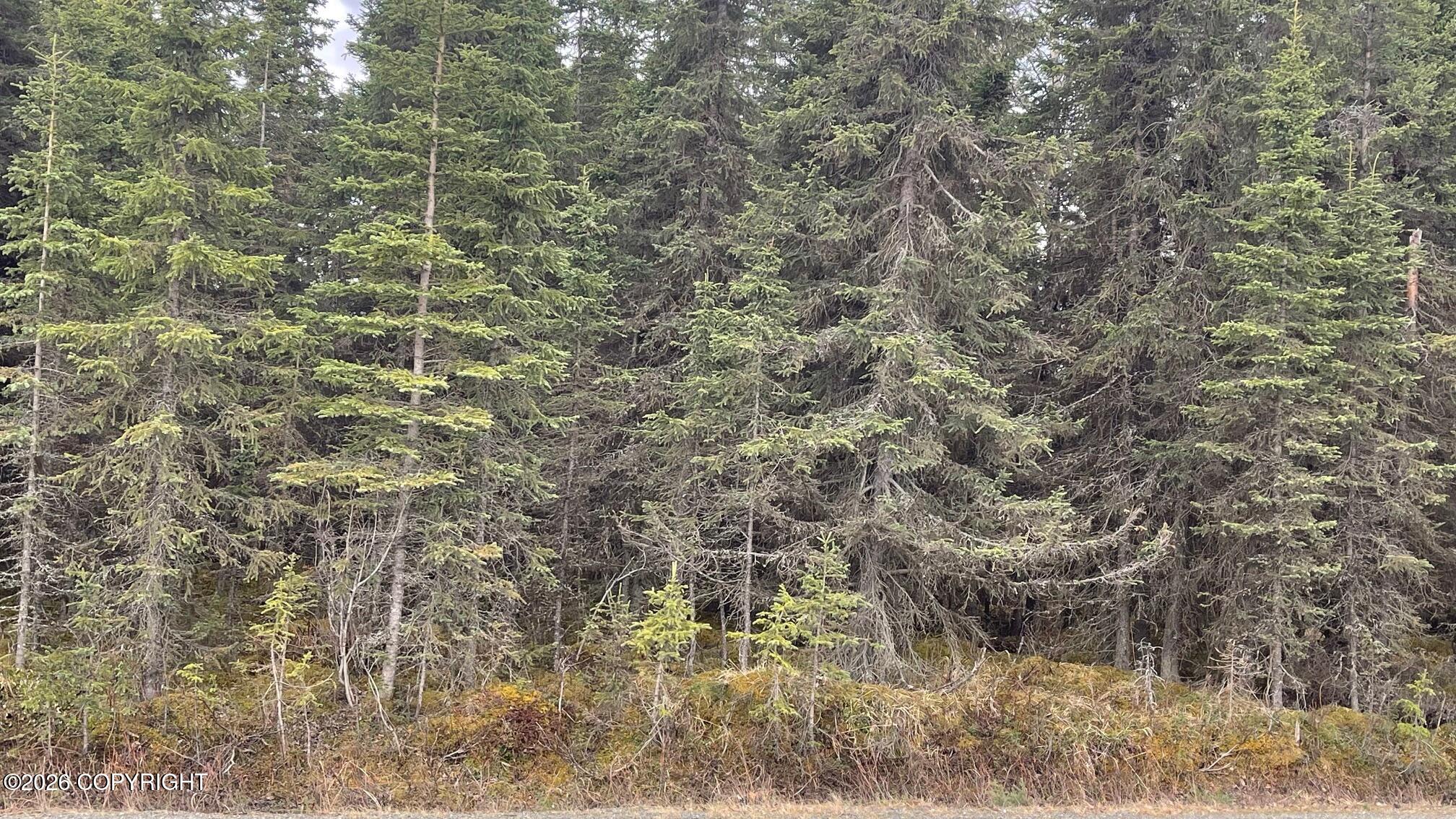 Land in Soldotna 4