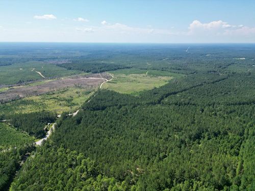 NHN Gobbler Head Rd, Poplarville, MS, 39470 | Card Image