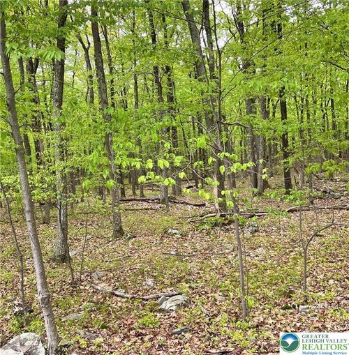 209 Cherry Ln, ALBRIGHTSVILLE, PA, 18210-7828 | Card Image