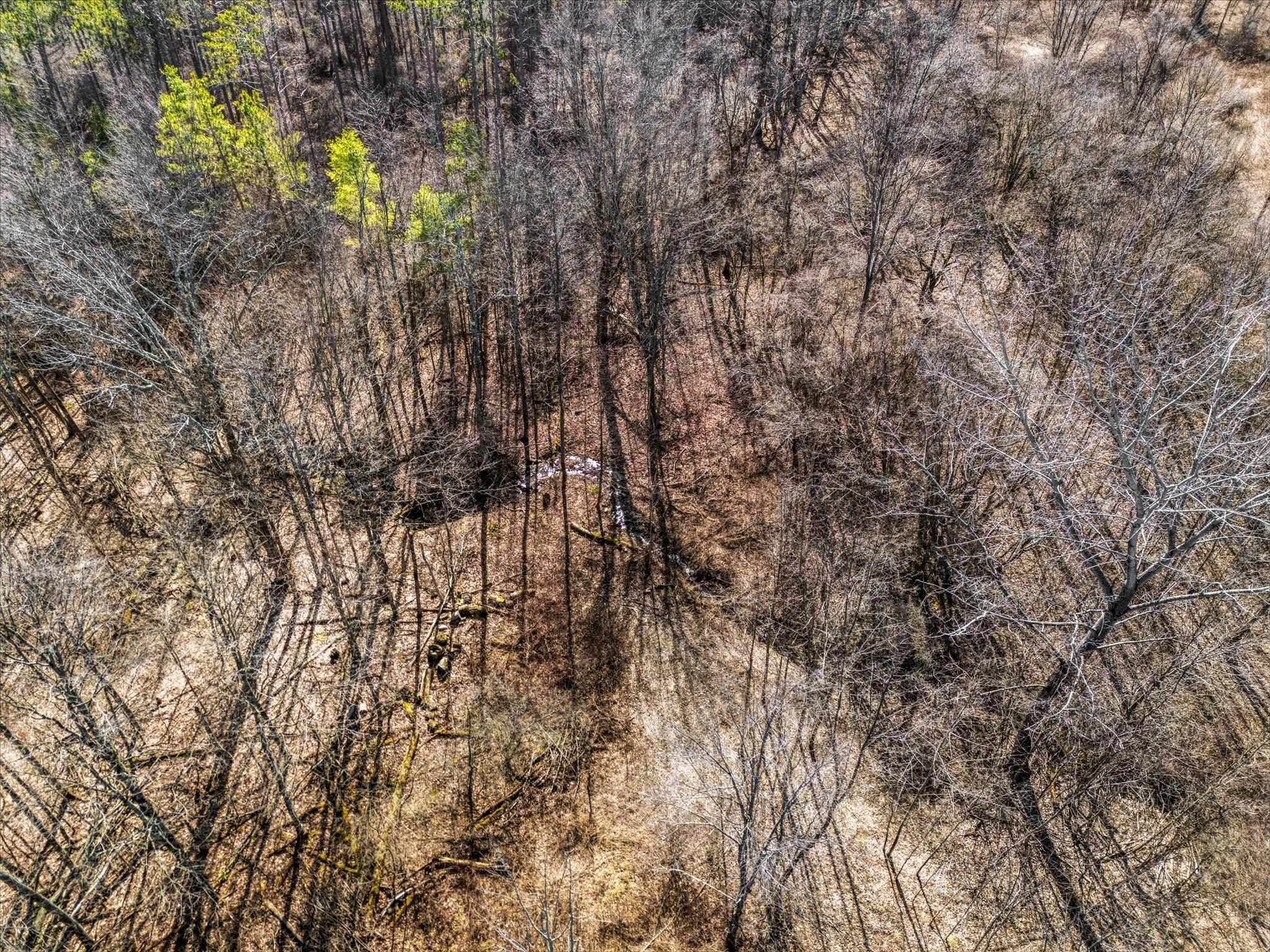 Land in Castleton