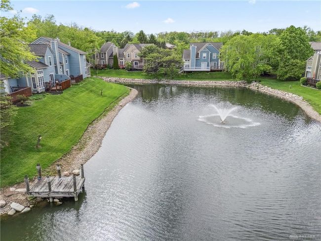 pond picture | Image 25