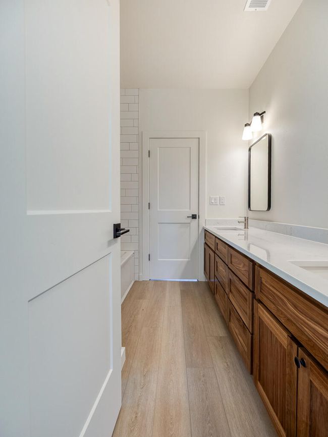 1168 Paper Birch-29 | Image 30