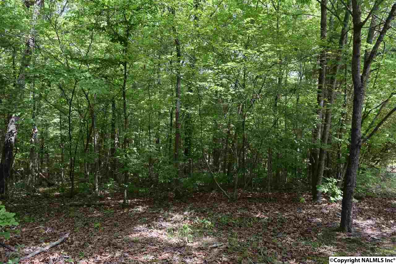 16.4 ac Highway 278, For Sale in Hokes Bluff Zoocasa