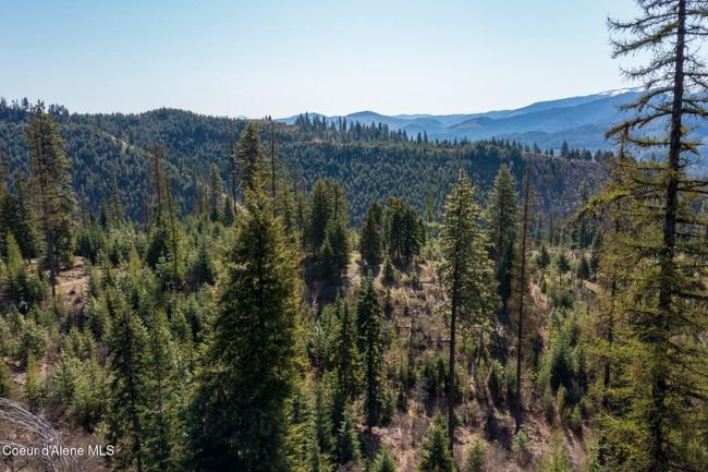 262 North Side Road, Home with 0 bedrooms, 0 bathrooms and null parking in Calder ID | Image 34