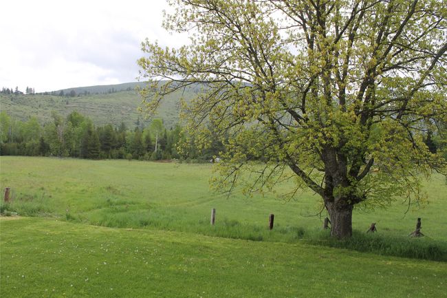 View of green lawn with a rural view | Image 12
