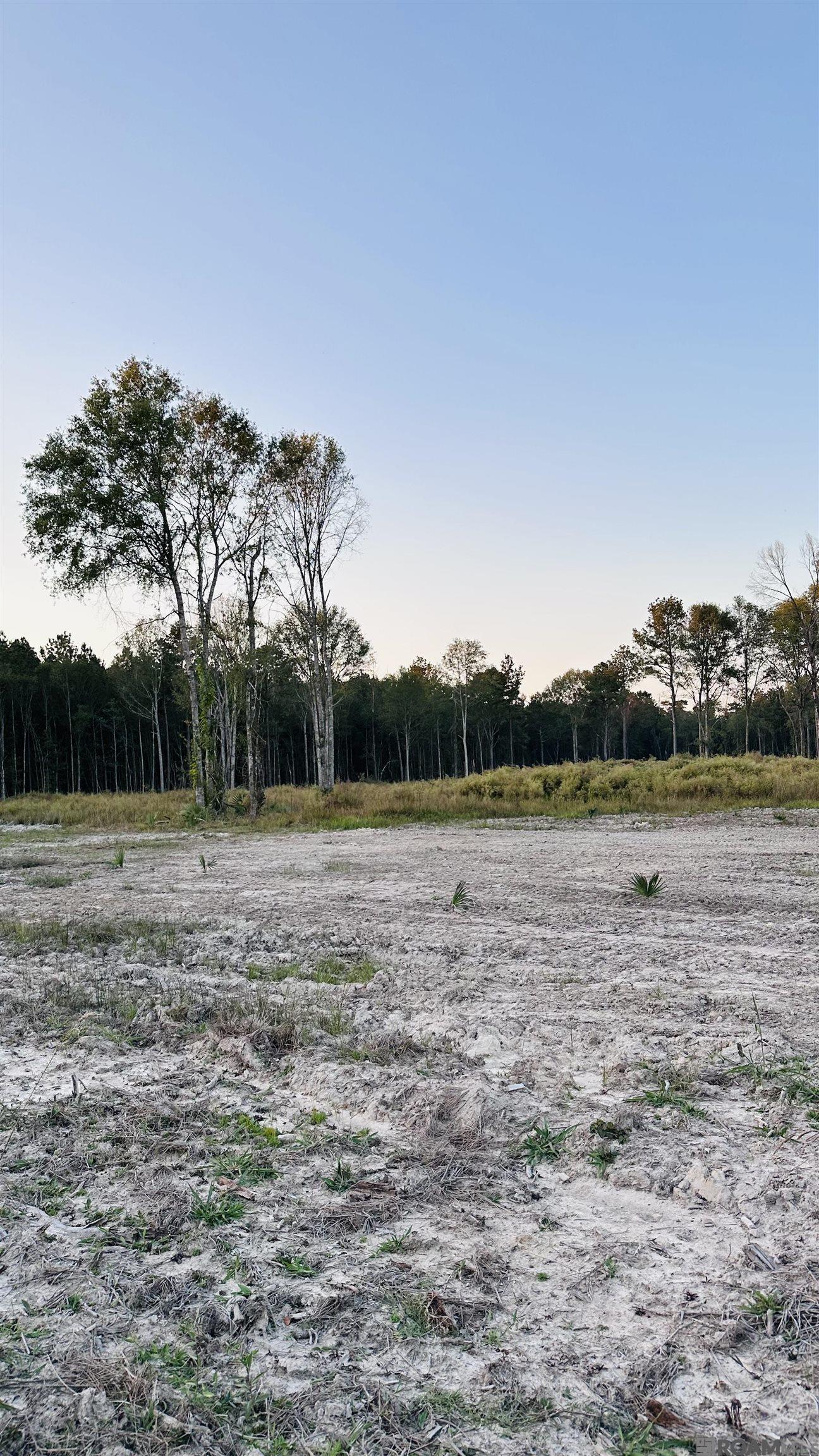 Land in Walker