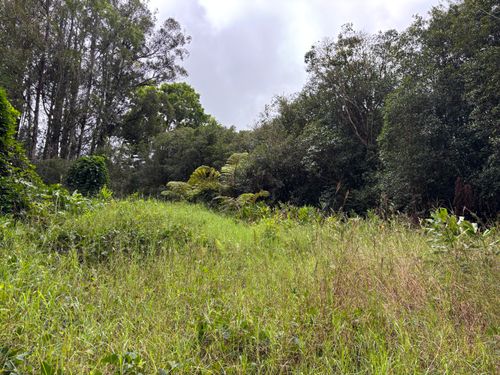 46-3989 Kapuna Rd, HONOKAA, HI, 96727-7054 | Card Image