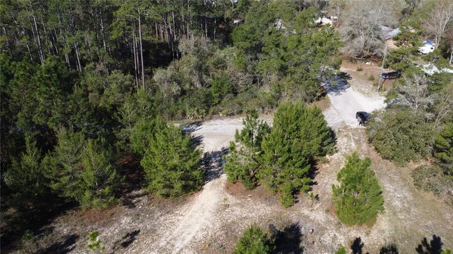 20-07S-04W-4212-0044-0080 Avenue J N, Home with 0 bedrooms, 0 bathrooms and null parking in CARRABELLE FL | Image 12