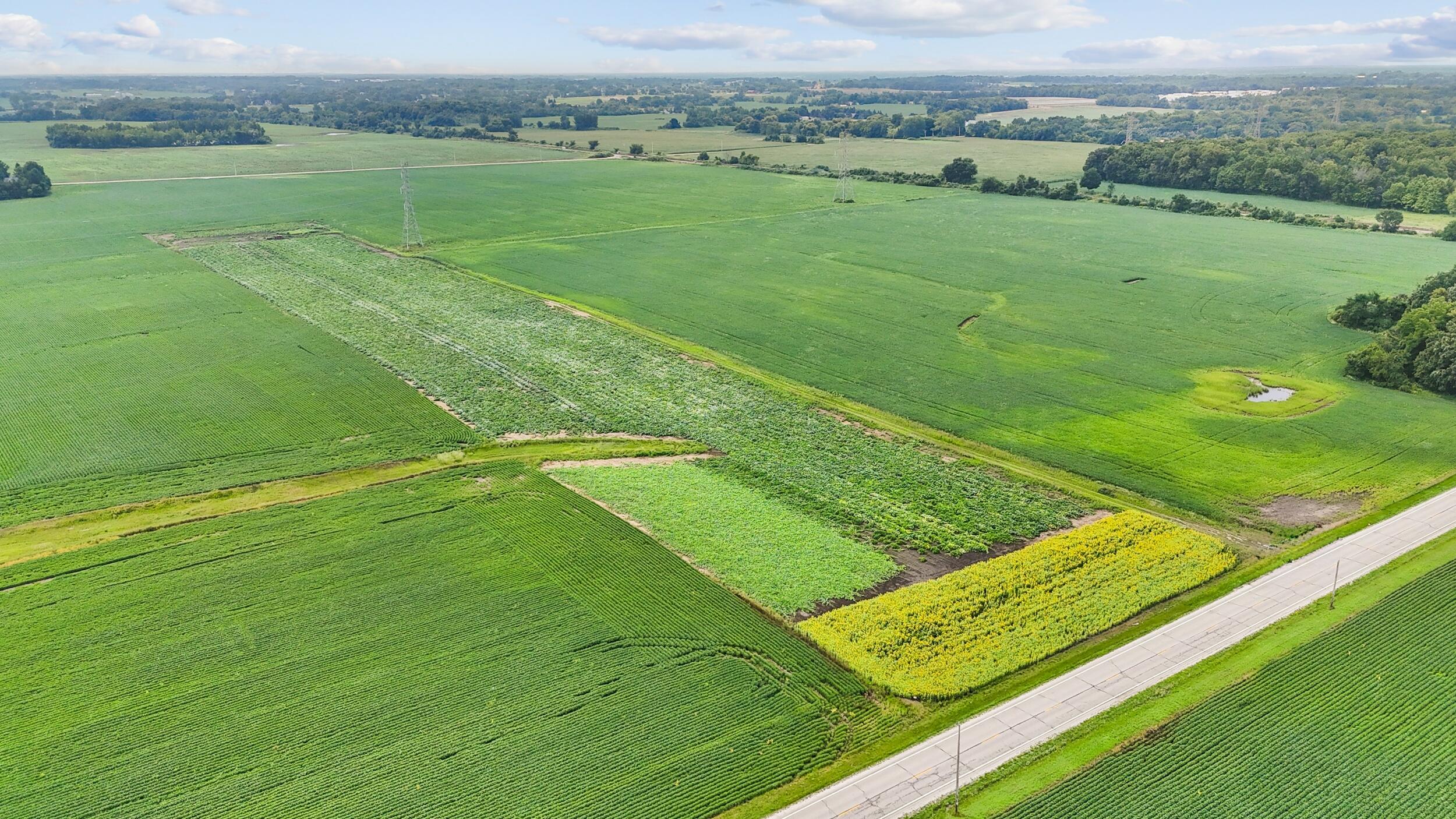 Land in Caledonia 3