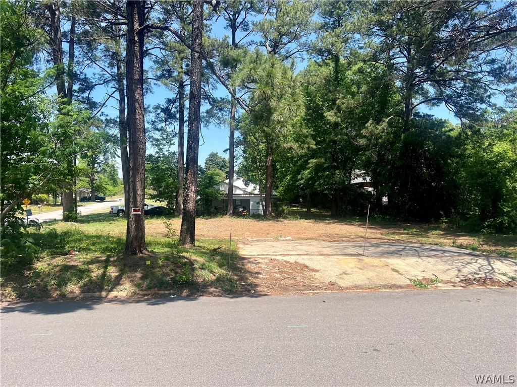 Land in Northport