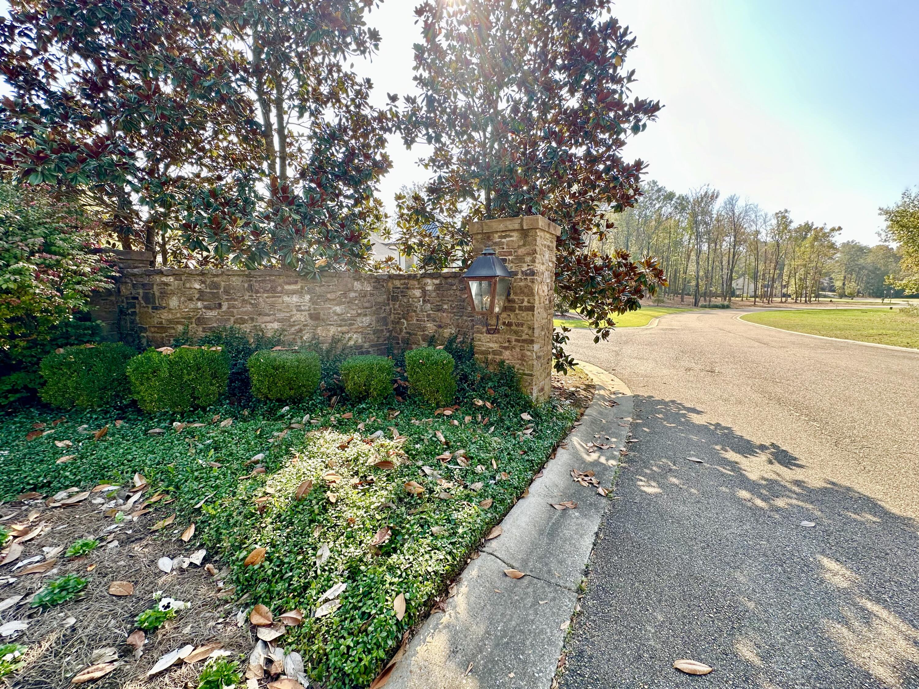 Land in Tupelo 2