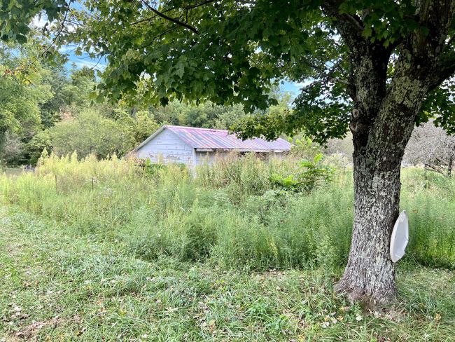 254 Isham Rd W, House other with 3 bedrooms, 2 bathrooms and 3 parking in Winfield TN | Image 40