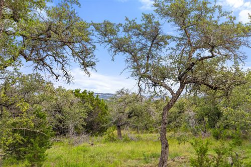 31860 Mirela Ann Rd, Dripping Springs, TX, 78620 | Card Image