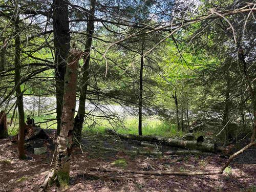 Lot 96 Gondola Ct, Davis, WV, 26260 | Card Image