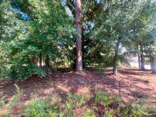 TBD Buck Rd, Santa Rosa Beach, FL, 32459 | Card Image