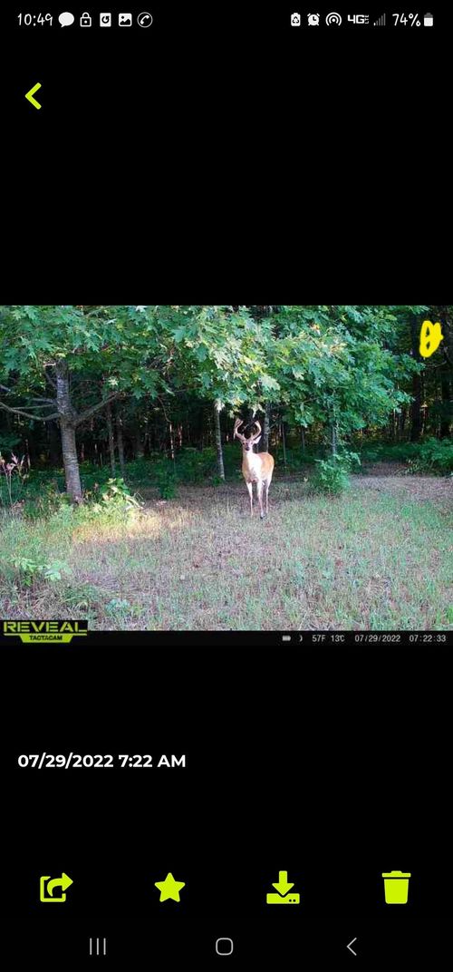 00 Squaw Creek Rd, Fostoria, MI, 48435 | Card Image