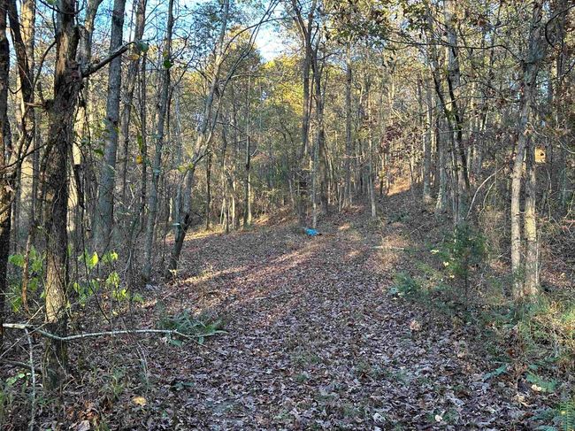 8997 Highway 9, House other with 2 bedrooms, 2 bathrooms and null parking in Mountain View AR | Image 47