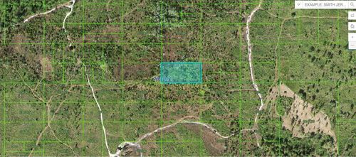  Tiger Lake Rd, LAKE WALES, FL, 33898 | Card Image