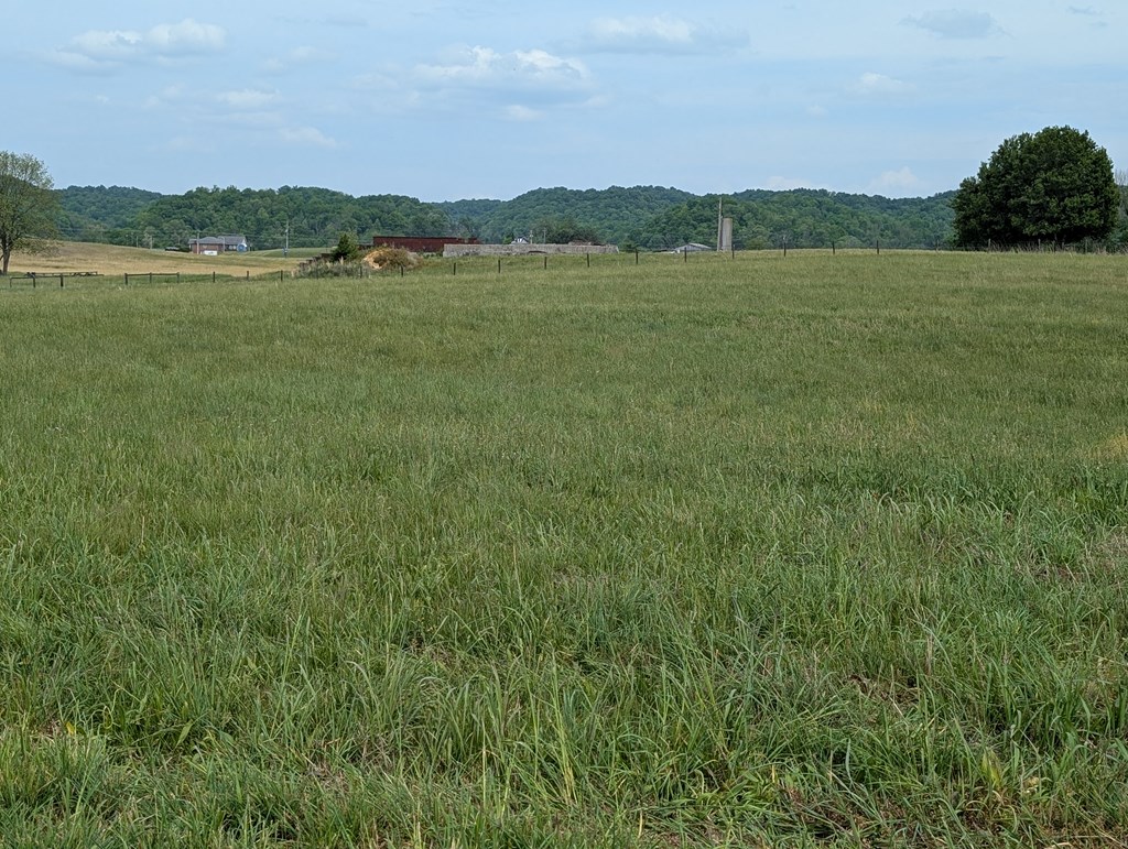 Land in Burkesville 2
