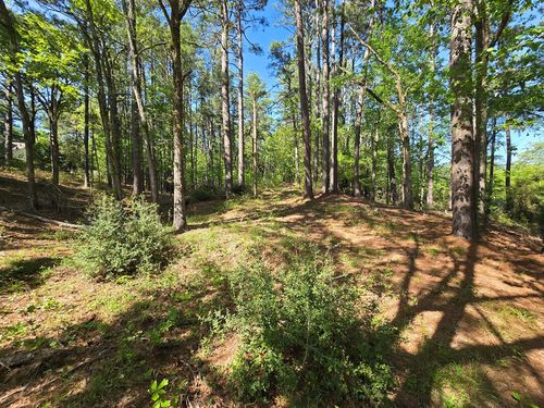 2723 Timberline Trl, Palestine, TX, 75803-8511 | Card Image