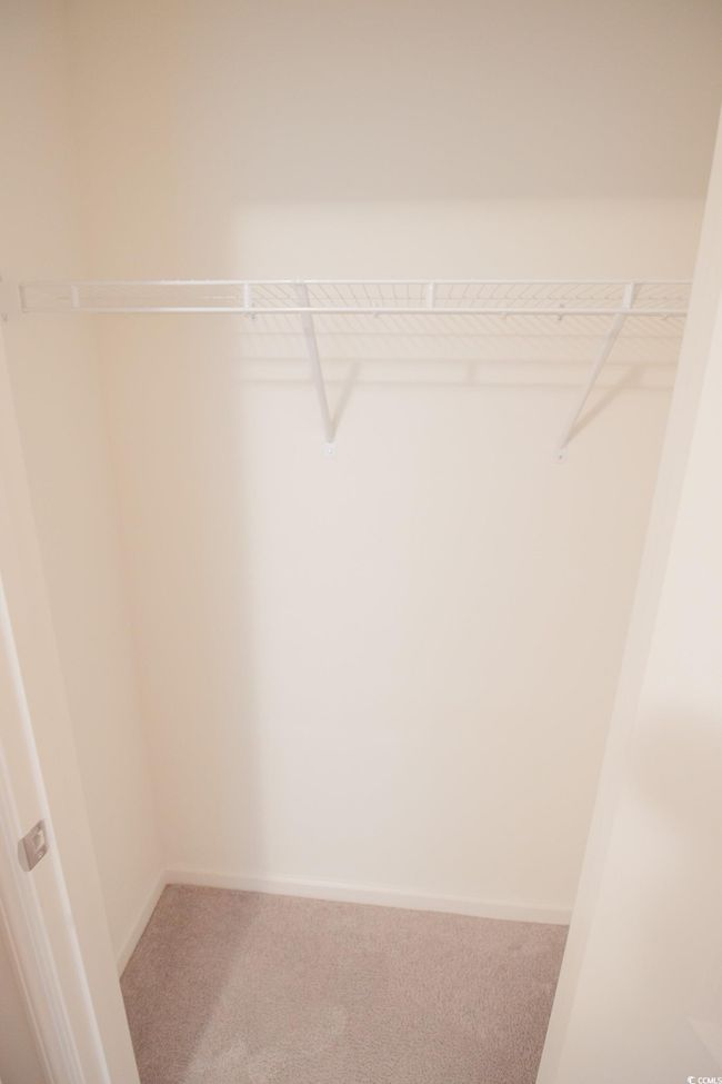 Spacious closet featuring carpet | Image 17