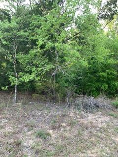 Land in Marianna 3