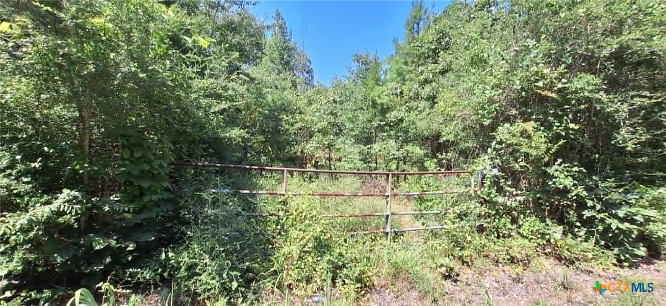 Farm in Big Sandy 2