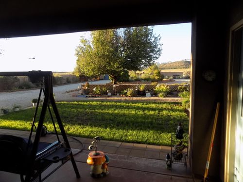1123 E Big Pinion Ln, Apple Valley, UT, 84737-4903 | Card Image