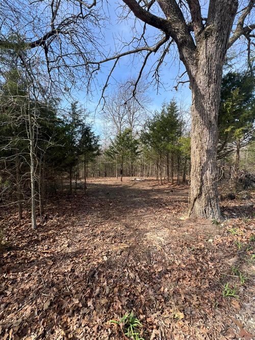 000 Robin Ln, Tunas, MO, 65764 | Card Image