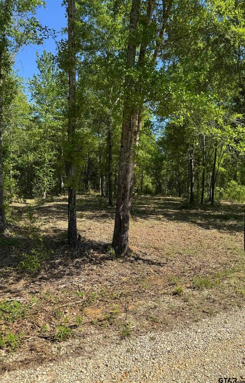 24337 Fm 838, Overton, TX, 75684 | Card Image