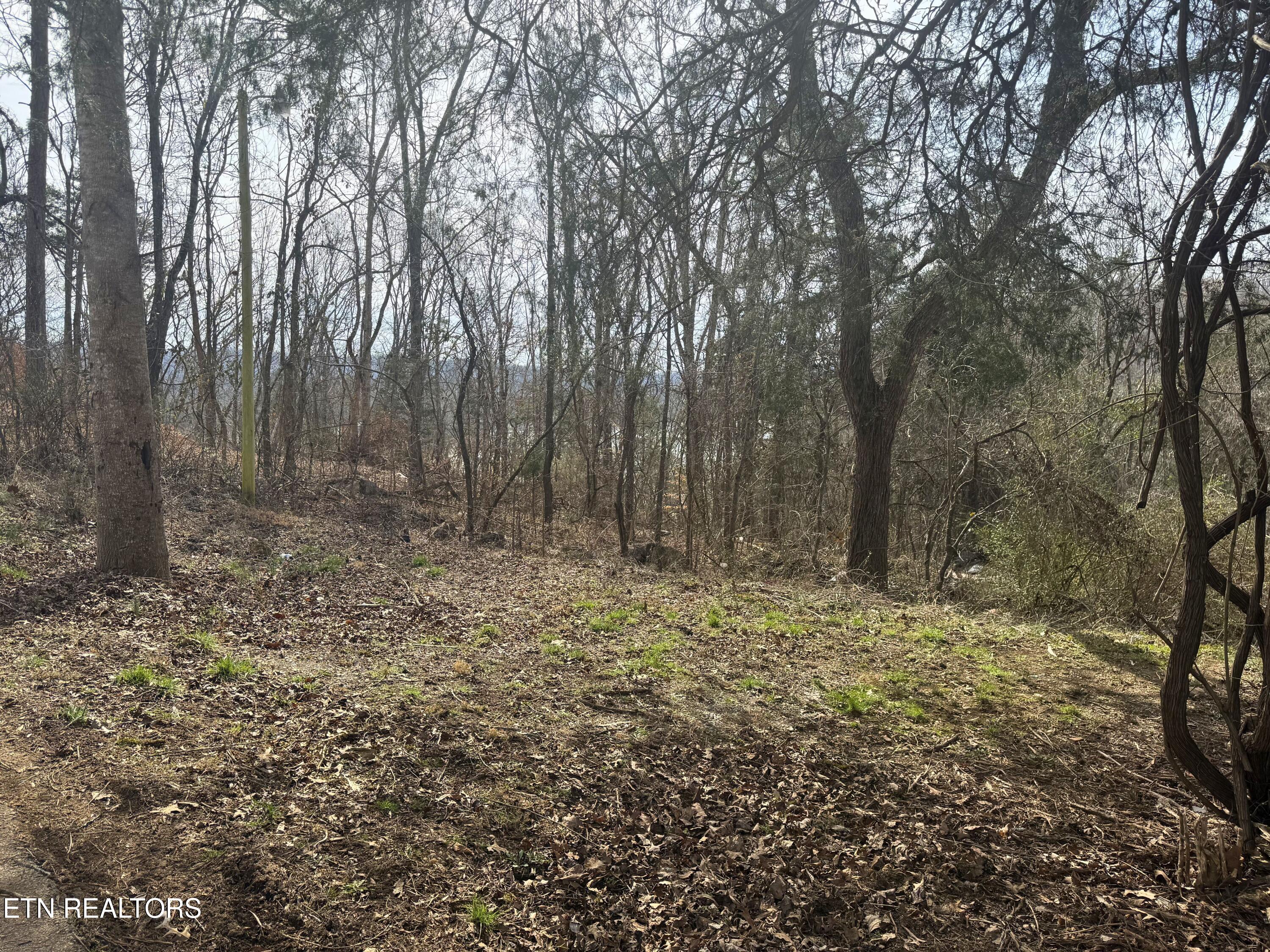 Land in Speedwell 4
