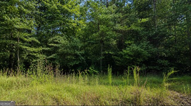 Land in Ellijay 4