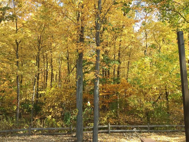 Backyard - Fall view | Image 56