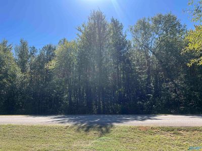 Tracts 1 & Pt 2 Summer Breeze Drive, Home with 0 bedrooms, 0 bathrooms and null parking in Cedar Bluff AL | Image 2