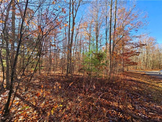 101 Chantry Ln, Home with 0 bedrooms, 0 bathrooms and null parking in Daniels WV | Image 4