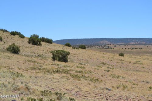863-Lot 863 Concho Hwy, Concho, AZ, 85924 | Card Image