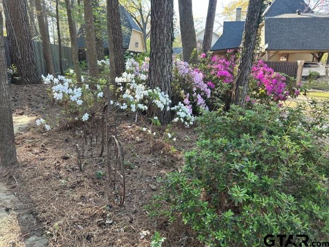 4321 Lazy Creek Dr, House other with 4 bedrooms, 4 bathrooms and null parking in Tyler TX | Image 37