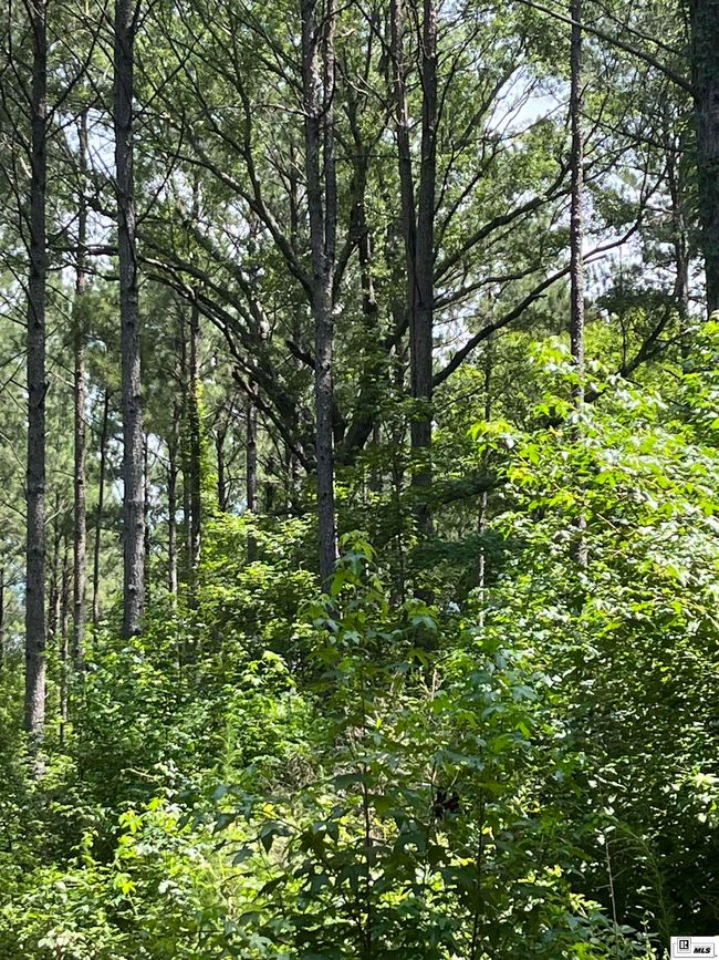 000 Highway 146, Home with 0 bedrooms, 0 bathrooms and null parking in Ruston LA | Image 19