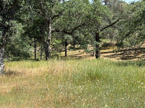 16 Horseshoe, Coarsegold, CA, 93614 | Card Image