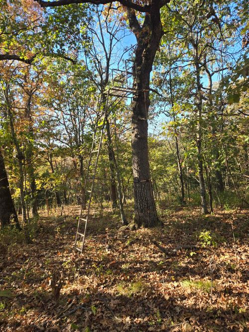 160 Lot Arden Ridge Hwy O, Ava, MO, 65608 | Card Image